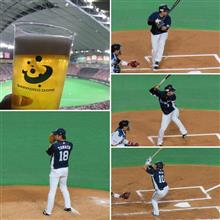 野球観戦（北海道日本ハムVS埼玉西武）