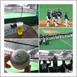野球観戦（北海道日本ハムVS埼玉西武）