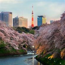 日本人は何を重視？「世界各国の価値観調査」で分かった「意外な結果」＝中国メディア 