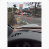 このイヌ。