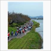 行橋-別府 100kmウォー ...