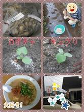 らっきょう・にんにく植え＆newラーメン道場
