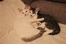ちょっと～ひと休み