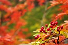 感動の山紀行（二日目・涸沢ヒュッテー横尾山荘））