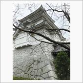 千葉の端っこの