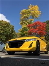 ニセコ紅葉Drive ニセコ紅葉Drive