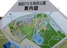 なずなさんと一緒に…