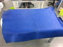 限定の青 受付開始しました! 限定の青 受付開始しました!