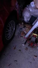 子猫が・・・ 子猫が・・・