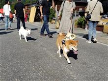 秋を探しに白川郷～片山津温泉お泊りツーリング！