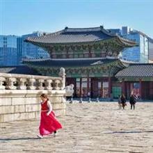 明暗を分けた国慶節・・・中国人が溢れかえった日本と、閑古鳥が鳴いた韓国＝中国メディア 