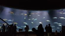 葛西臨海水族園と江戸川区自然動物園 葛西臨海水族園と江戸川区自然動物園