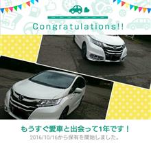 愛車と出会って1年! 愛車と出会って1年!