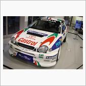 お台場、WRC