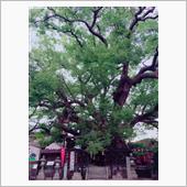 三島神社(みつしまじんじゃ)