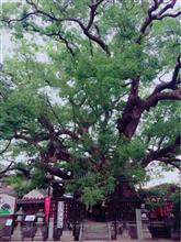 三島神社(みつしまじんじゃ)