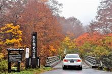 奥利根・赤城へ雨の紅葉ドライブ