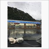 昼寝の後は