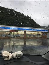 昼寝の後は
