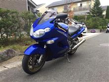 見た目に騙されるな