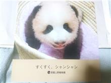 シャンシャン（香々）