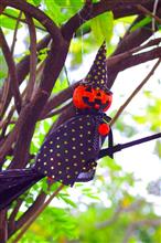 フラワーハロウィーン(^_^) フラワーハロウィーン(^_^)