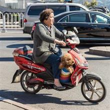 「中国で運転すること」は恐ろしい・・・車やバイクだけじゃない中国の「特殊な交通事情」＝中国報道 