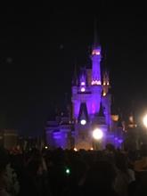 ドライブ in ディズニー2 ドライブ in ディズニー2