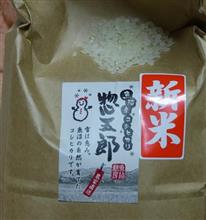 新米。