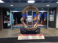 三浦半島からR134を流してみる 三浦半島からR134を流してみる