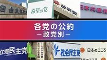 投票 投票