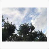 雨☂️あがり