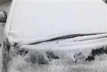 初雪がドカ雪