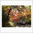 ちょっとだけ紅葉狩り
