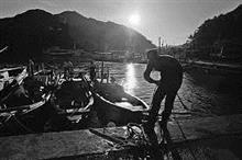 「　漁　港　の　朝　」　～