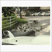 台風一過