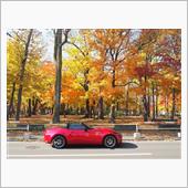 ROADSTER で初めて◯◯