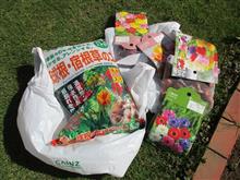 やっと晴れました！