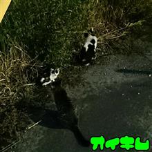 今日は噛まれた｡｡(^◇^;)