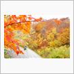 秋の東北、紅葉めぐり。③　蔵王エコーライン～西磐梯スカイバレー～