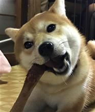 カミカミ カミカミ