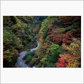 信州で紅葉狩り（後編・高瀬 ...