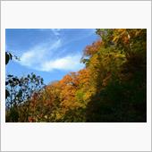 紅葉を求め十和田湖～中野もみ ...