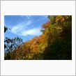 紅葉を求め十和田湖～中野もみじ山～弘前城