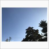 もう１１月❗️