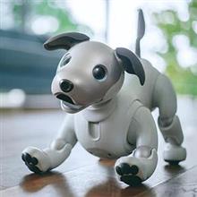 世界中の人々の心を掴み愛され続けた、「あの奇跡の犬型ロボット」が復活するぞ！＝中国