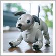 世界中の人々の心を掴み愛され続けた、「あの奇跡の犬型ロボット」が復活するぞ！＝中国