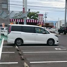 1ヶ月点検 1ヶ月点検