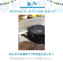 祝・みんカラ歴1年！ 