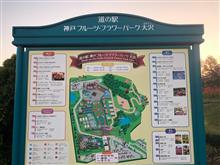 ハイタッチDrive!でチェックがされない！